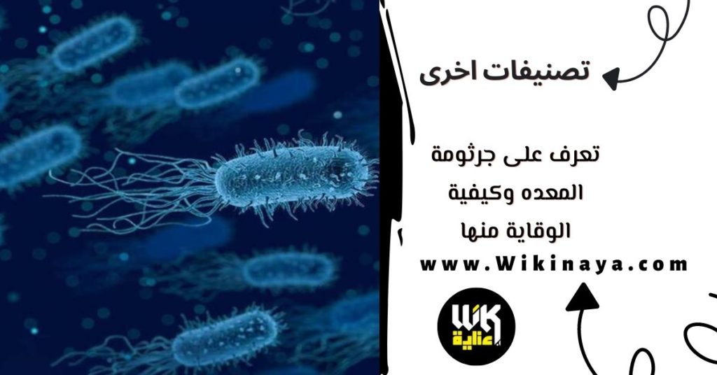 تعرف على جرثومة المعده وكيفية الوقاية منها