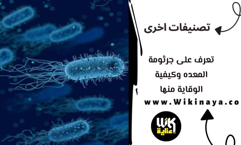 تعرف على جرثومة المعده وكيفية الوقاية منها