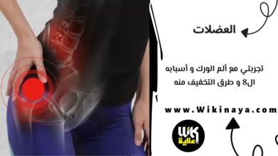 تجربتي مع ألم الورك و أسبابه ال8 و طرق التخفيف منه