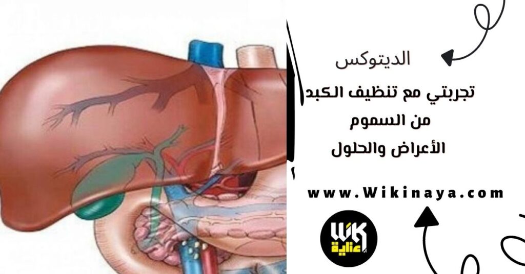 تجربتي مع تنظيف الكبد من السموم