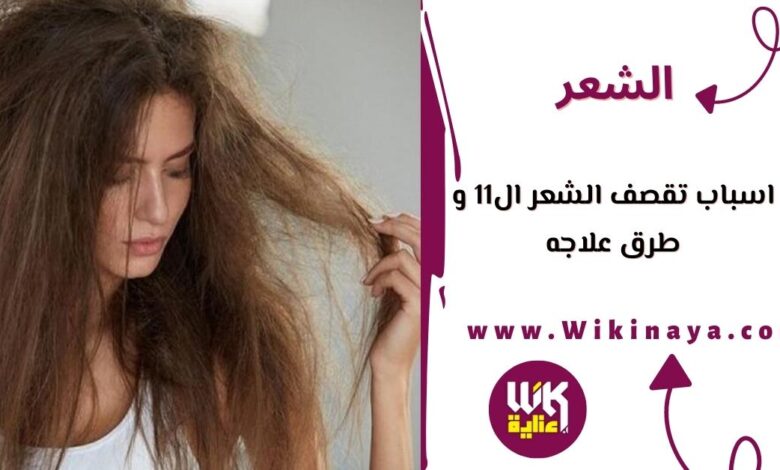 اسباب تقصف الشعر ال11 و طرق علاجه