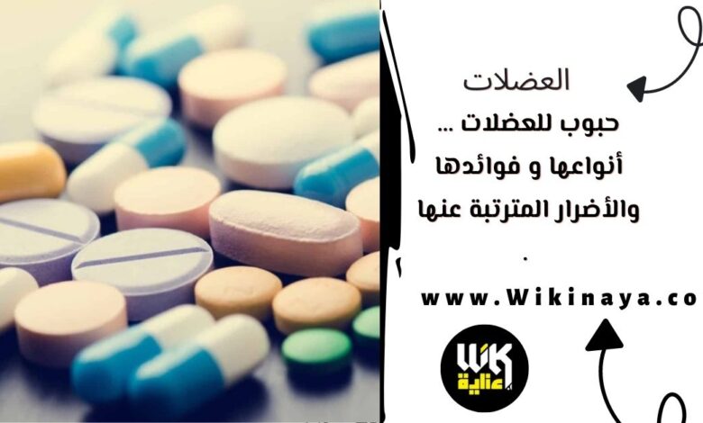 حبوب للعضلات … أنواعها و فوائدها والأضرار المترتبة عنها .