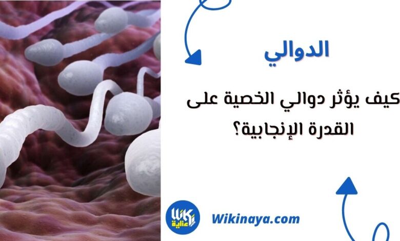 دوالي الخصية والانجاب