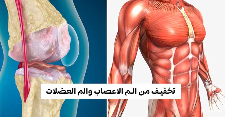 الطرق العلاجية للتخفيف من الم الاعصاب والم العضلات